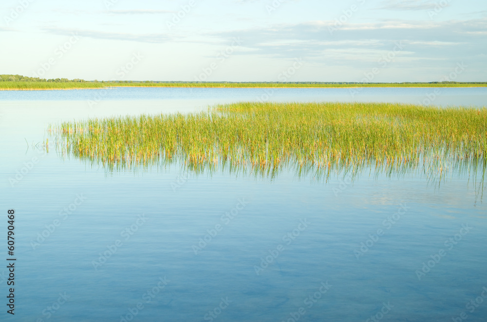 on the edge of the lake. on the edge of the lake.