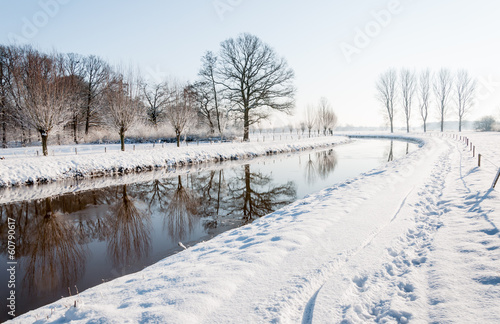 Wallpaper Mural Reflected trees in mirror smooth water Torontodigital.ca
