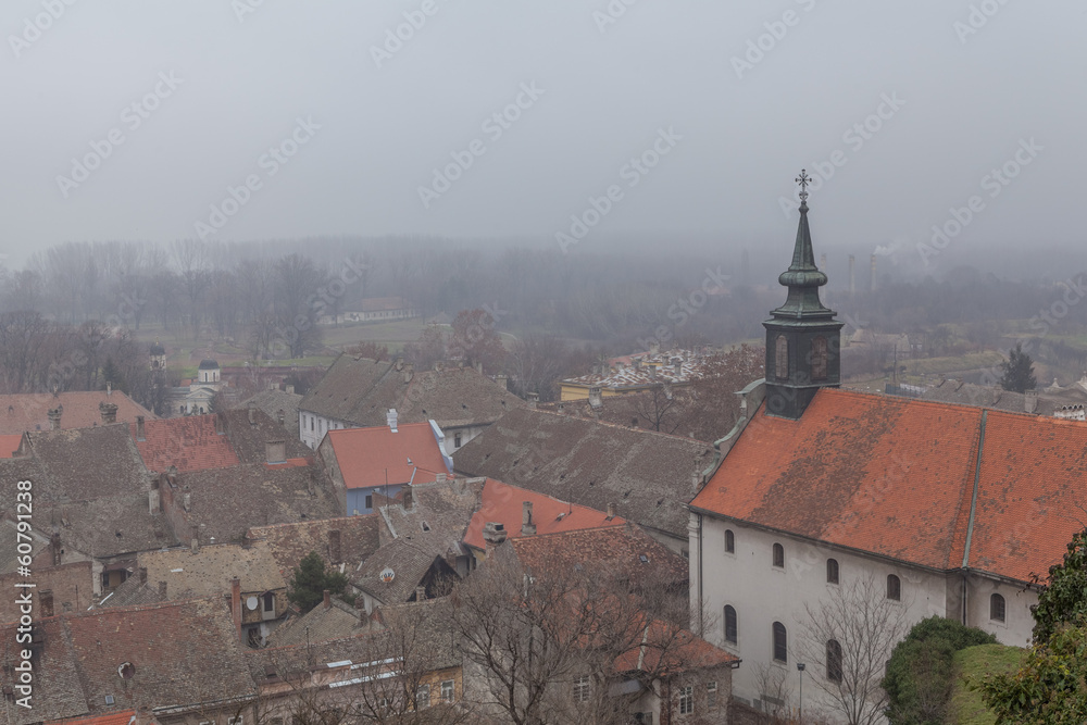 Fototapeta premium Novi Sad city roofs and church in fog