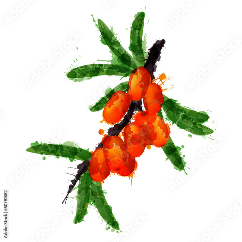 Sea buck thorn made of colorful splashes on white background