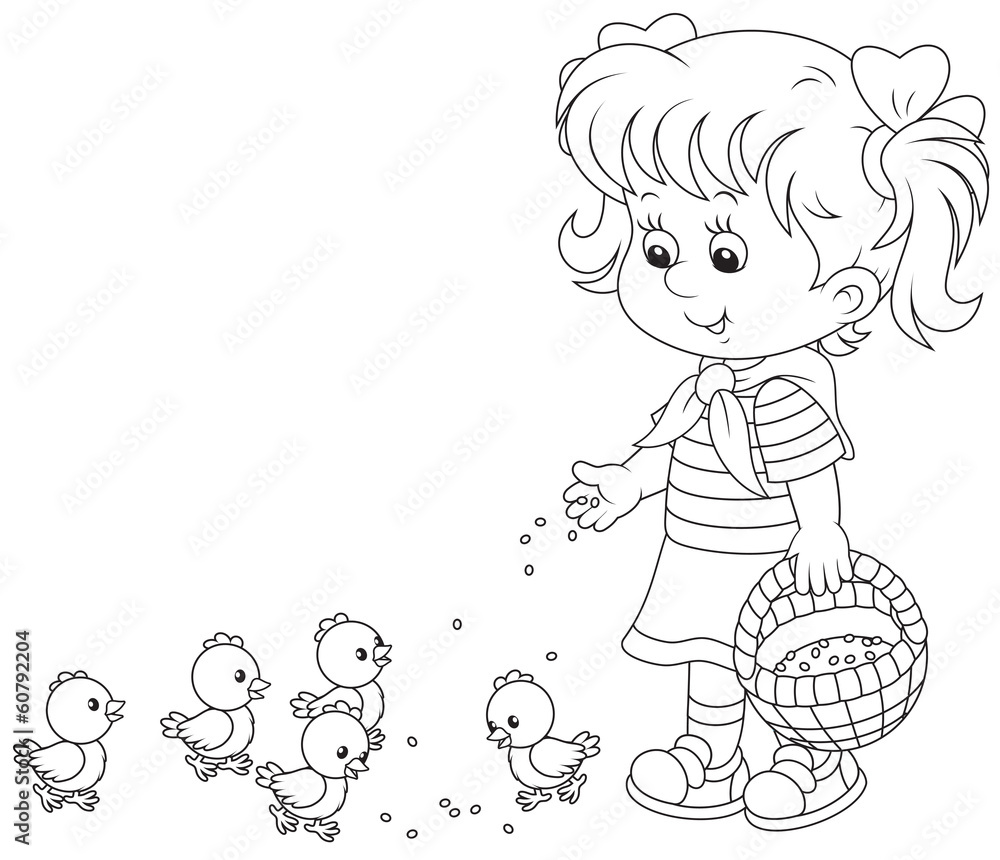 girl feeds a brood of small chickens girl feeds a brood of small chickens