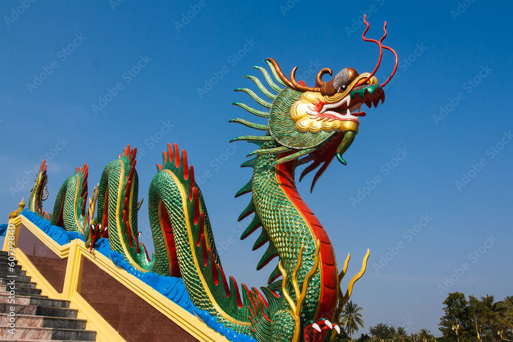 Fototapeta premium Dragon