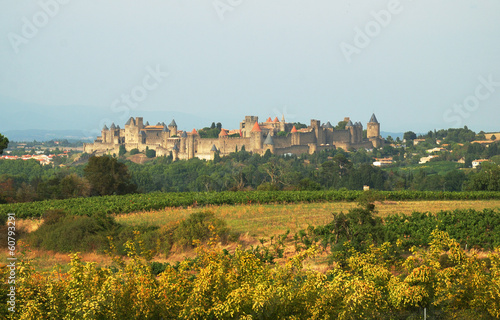 View of Carcassona castle.