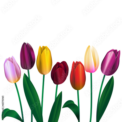bouquet of different color tulips 1