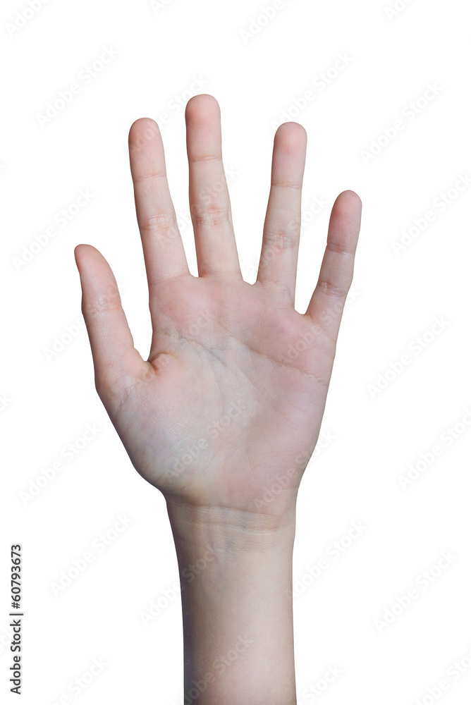 Paume d'un main, isolé fond blanc Paume d'un main, isolé fond blanc