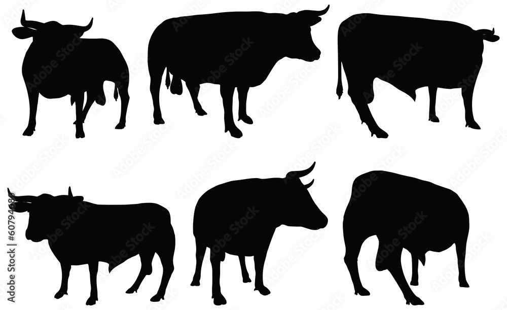 cattle collection - vector silhouette cattle collection - vector silhouette