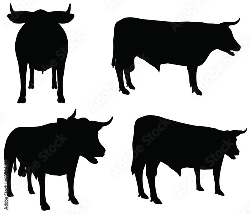 cattle collection - vector silhouette