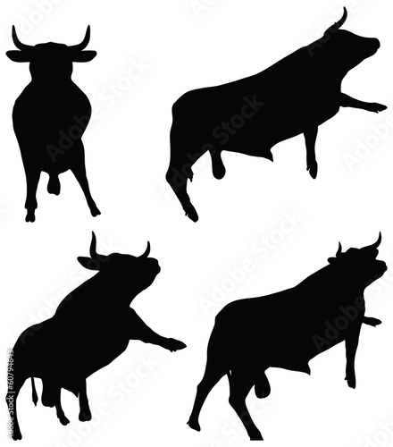 cattle collection - vector silhouette