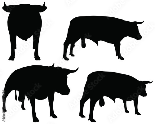 cattle collection - vector silhouette