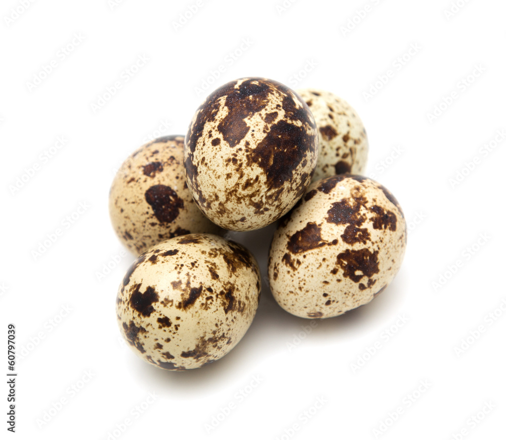 quail eggs on a white background. macro quail eggs on a white background. macro