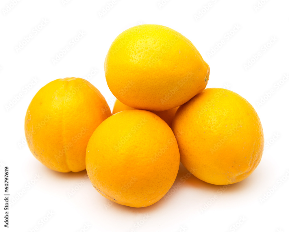 lemon on a white background lemon on a white background