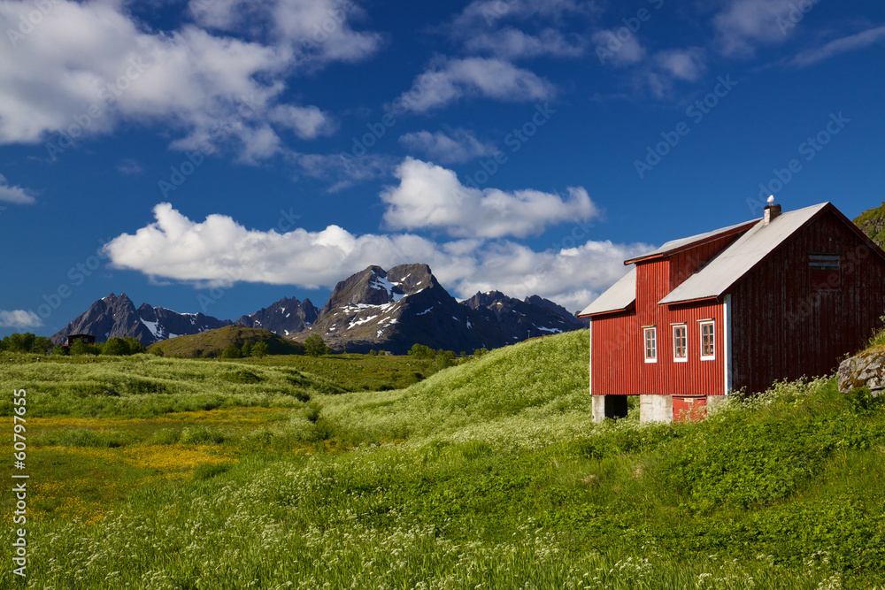 Picturesque Lofoten panorama