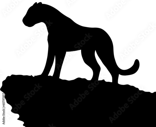 Fototapeta Naklejka Na Ścianę i Meble -  mountain lion