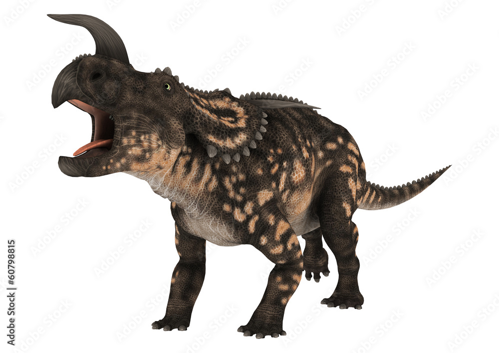 Dinosaur Einiosaurus Dinosaur Einiosaurus