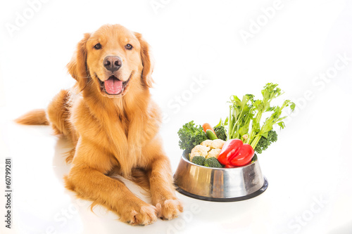 Happy golden retriever dog with vegetables