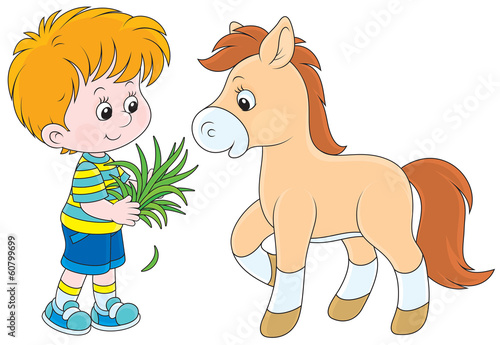 Little boy feeding a pony