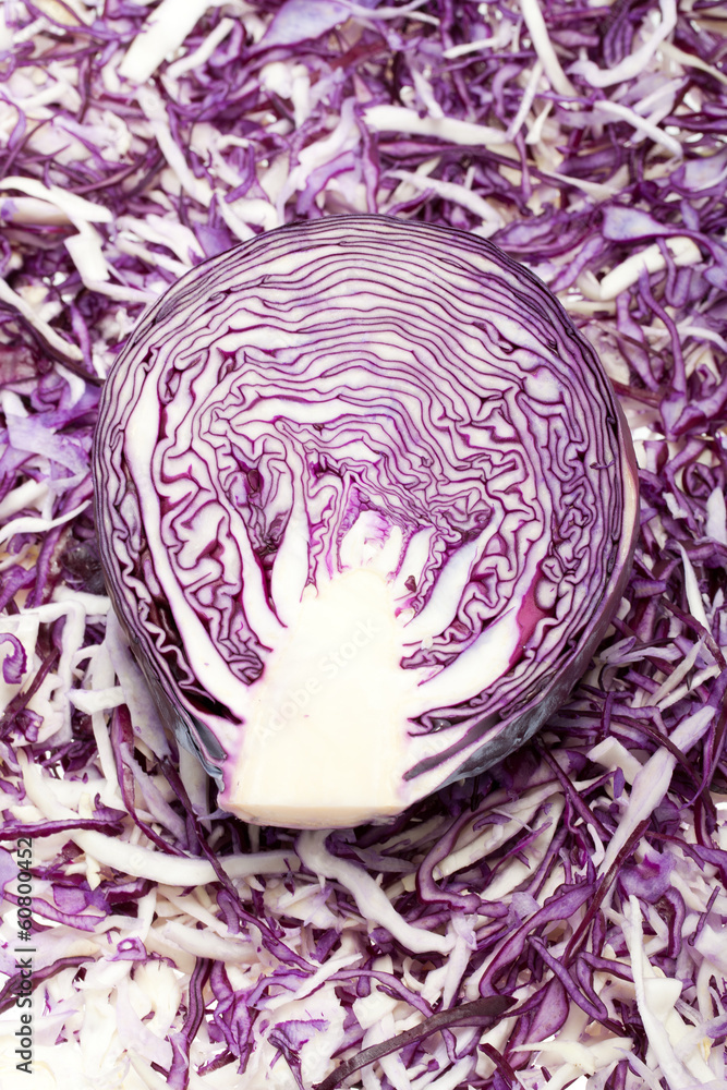 Obraz premium White and Red Cabbage