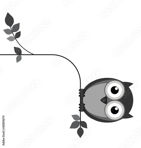 Fat owl sat on a thin branch