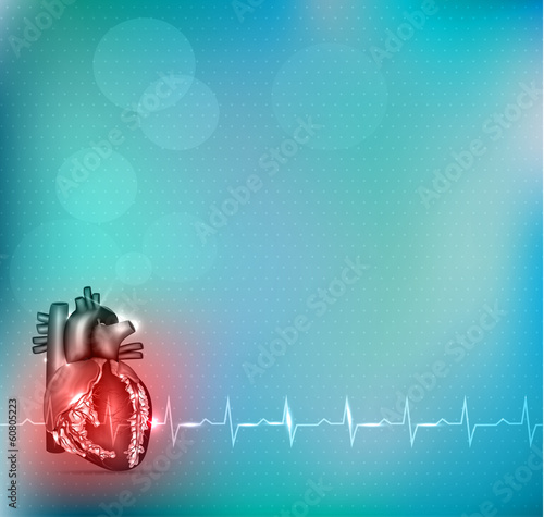 Colorful Cardiology background with detailed human heart anatomy