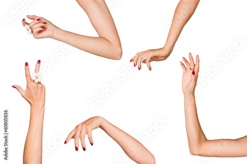 Женские руки