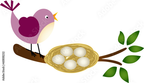 Bird with Eggs in a Nest on a Branch