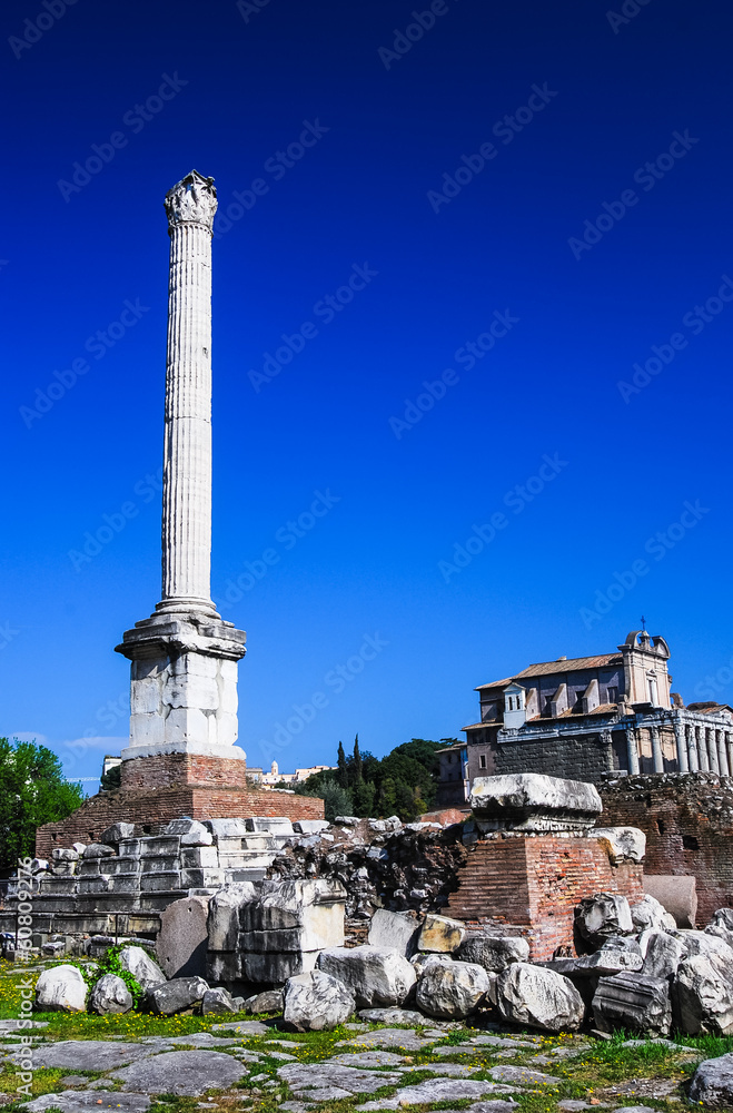 Column of Phocas, Rome ancient ruins, Italy