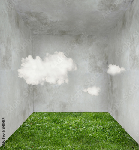 Clouds and grass in a room