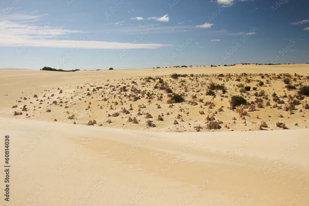 Australian desert