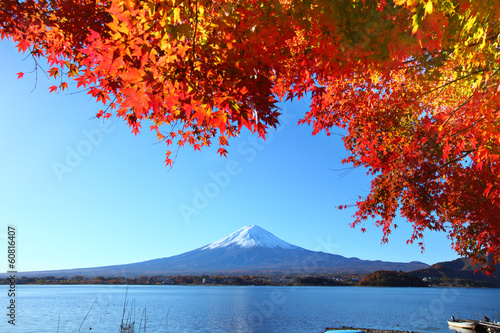 Mt. Fuji in autumn © leungchopan