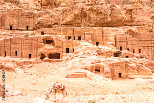 The Loculi in the ancient Jordanian city of Petra, Jordan