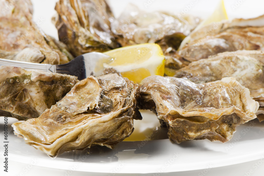 Fresh oysters Fresh oysters
