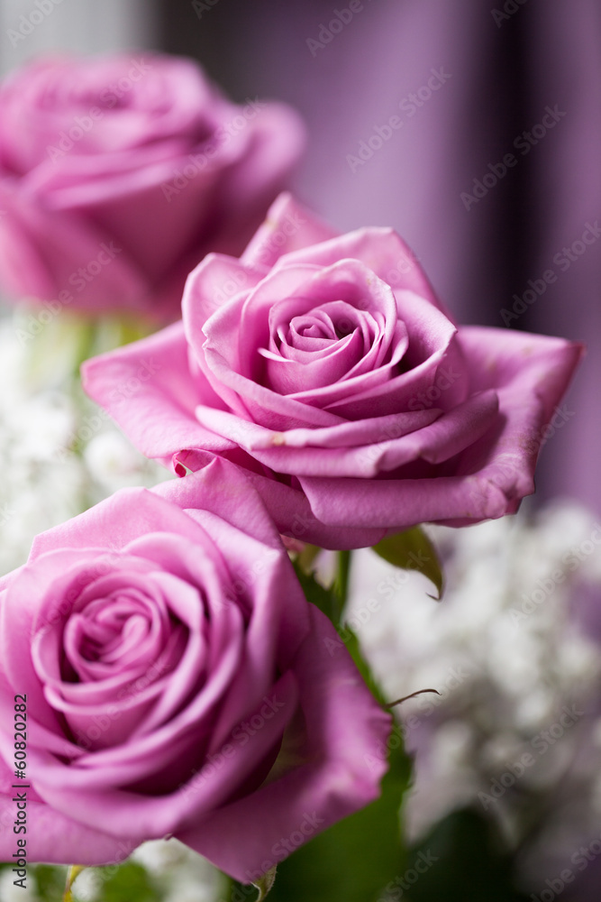 Roses Roses