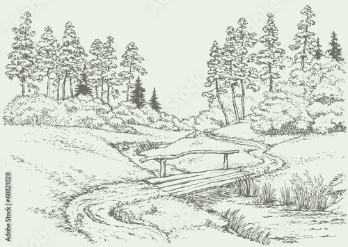 Vector landscape. Wooden bridge over the forest creek
