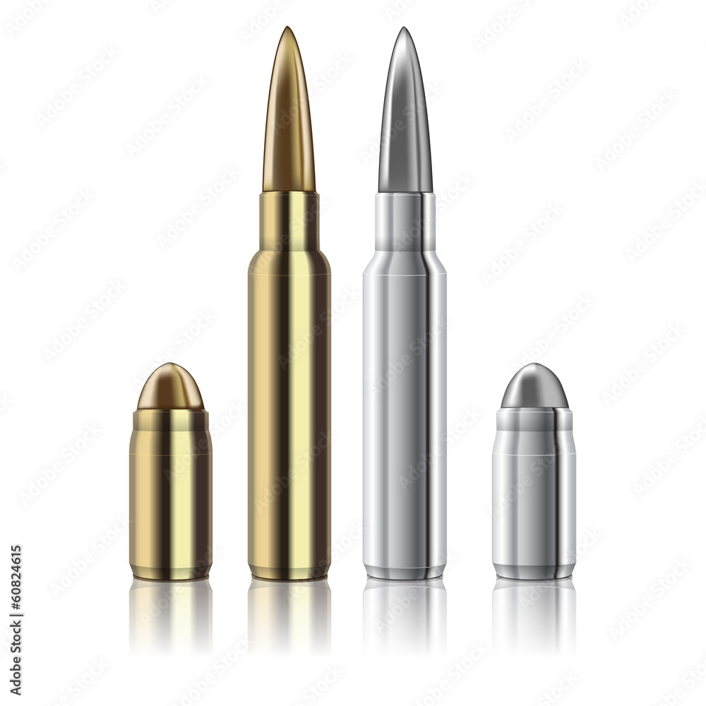 Vector Rifle and pistol bullets isolated on white Vector Rifle and pistol bullets isolated on white