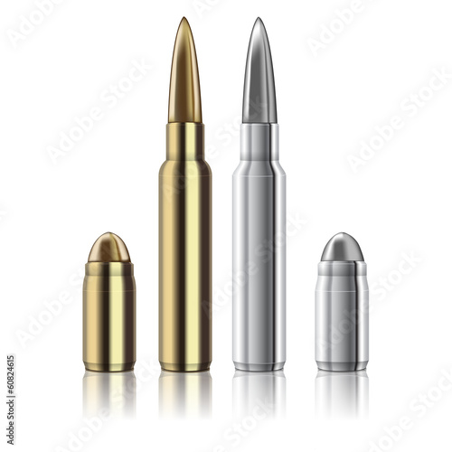 Vector Rifle and pistol bullets isolated on white