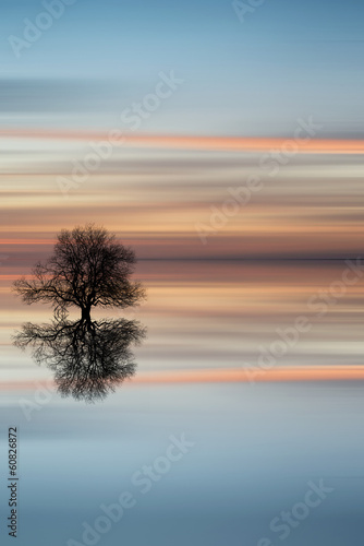 Silhouette of tree on calm ocean water landscape at sunset