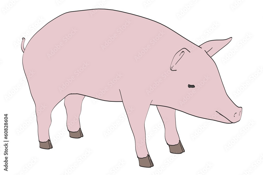 cartoon image of pig animal cartoon image of pig animal
