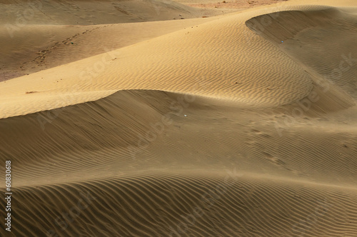 Fototapeta Naklejka Na Ścianę i Meble -  Thar desert in India