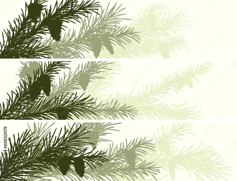 Horizontal banner of spruce branch. Horizontal banner of spruce branch.