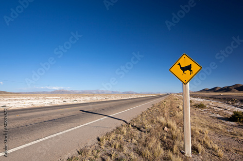 alpaca road sign