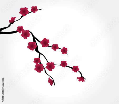 vector blossom branch with red flowers