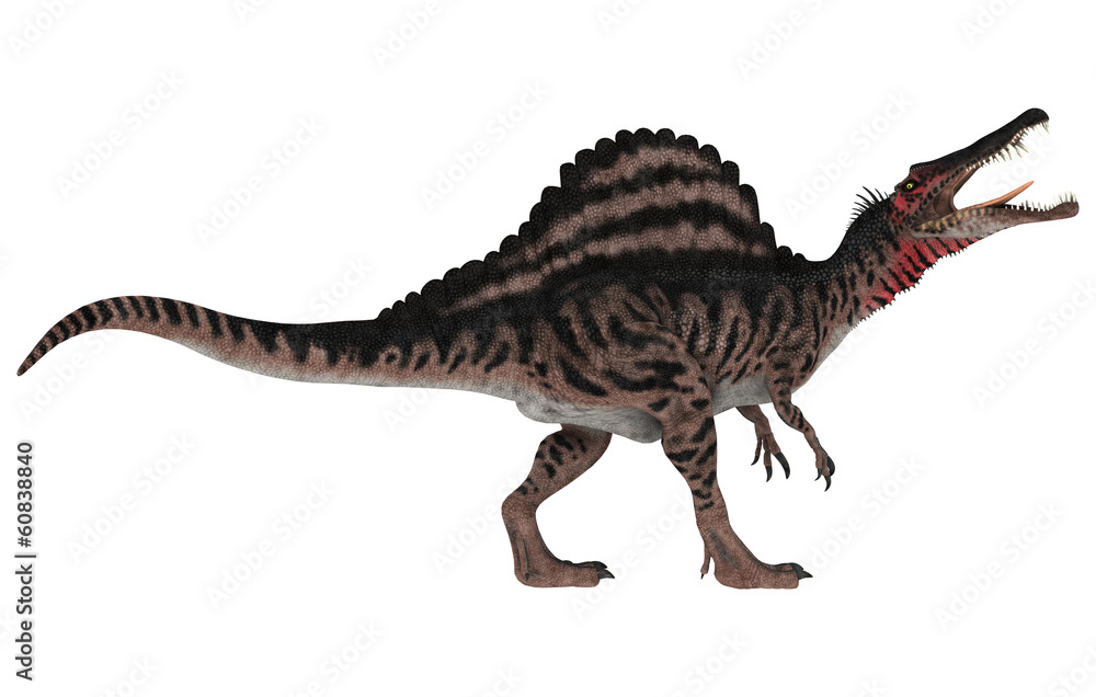 Fototapeta premium Dinosaur Spinosaurus