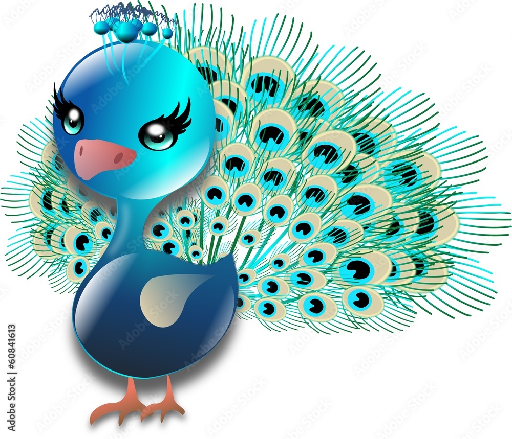 Obraz premium Turquoise peacock