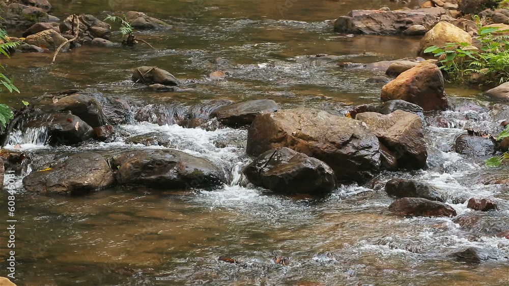 Water stream running over the rocks in the forest Water stream running over the rocks in the forest