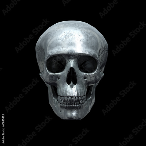 Metallic skull