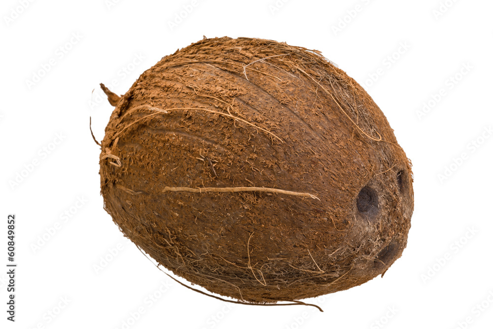 Coconut Coconut