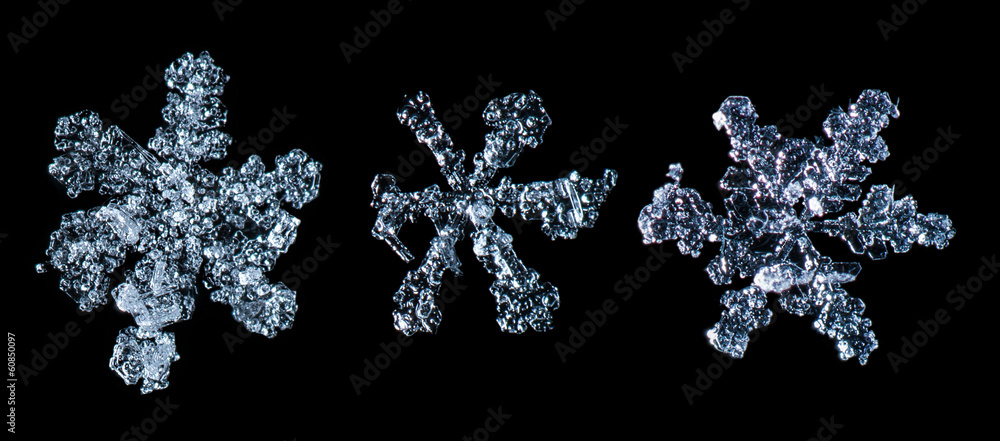 Snowflakes black isolated Snowflakes black isolated