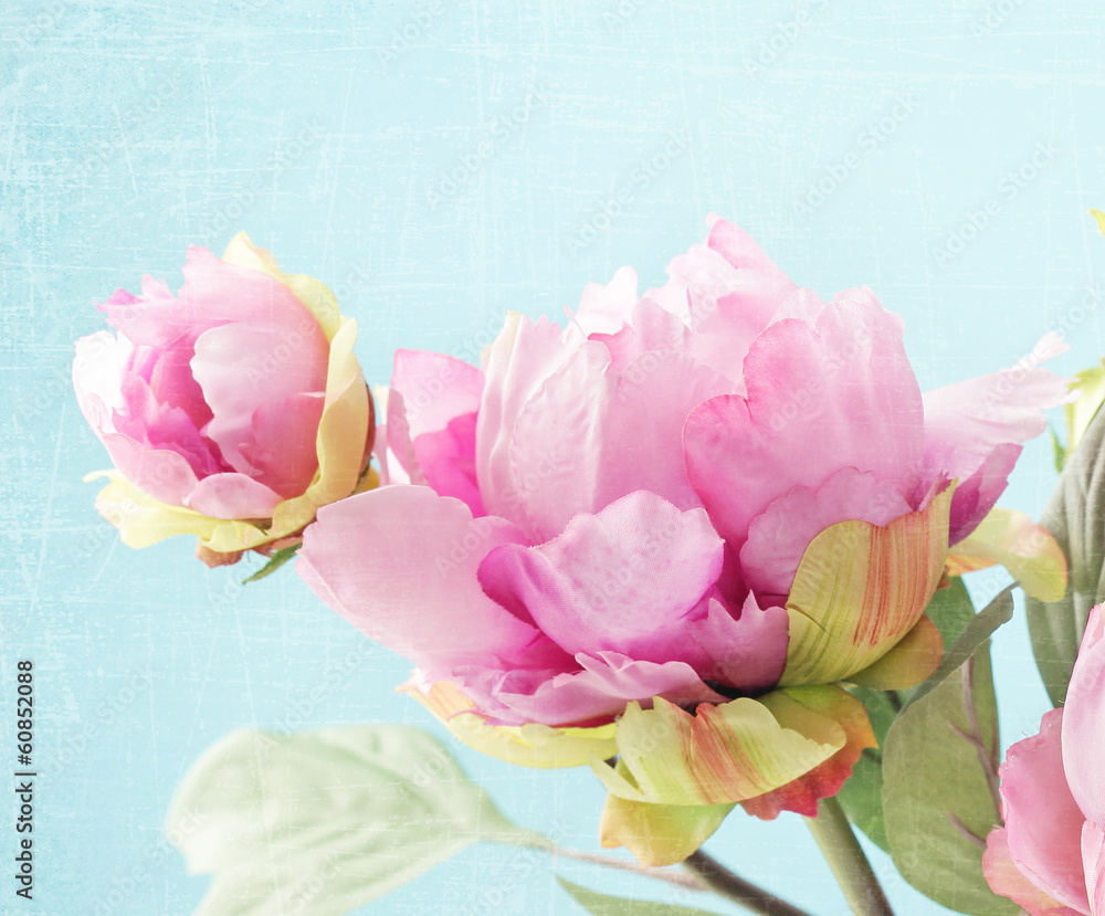 Fototapeta premium peony flowers