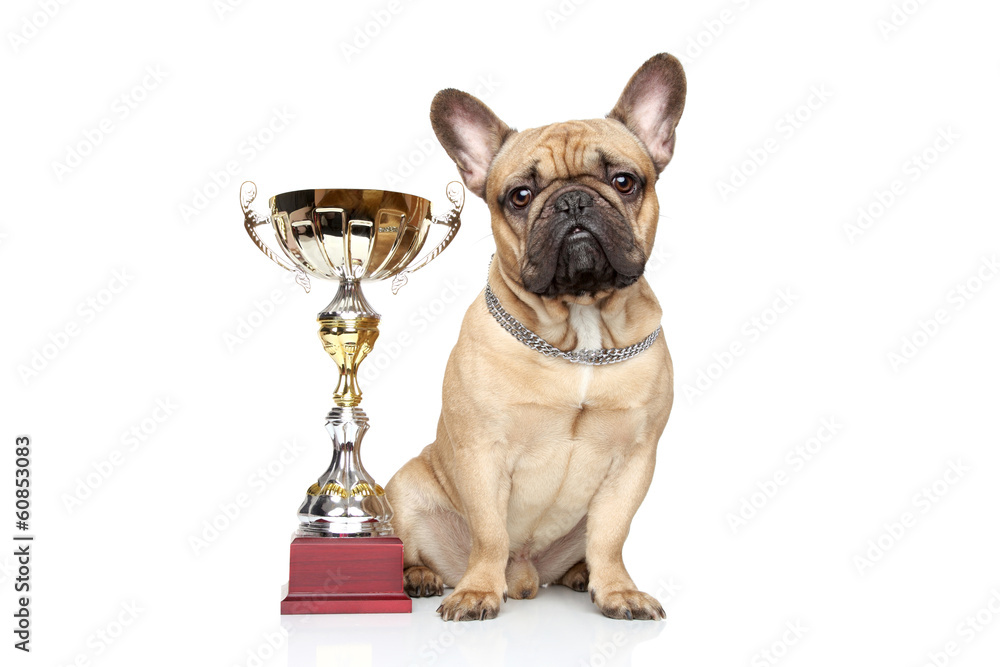 Winner dog