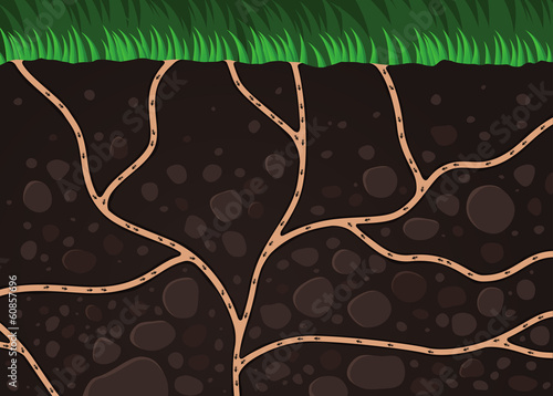 Colony of Ant